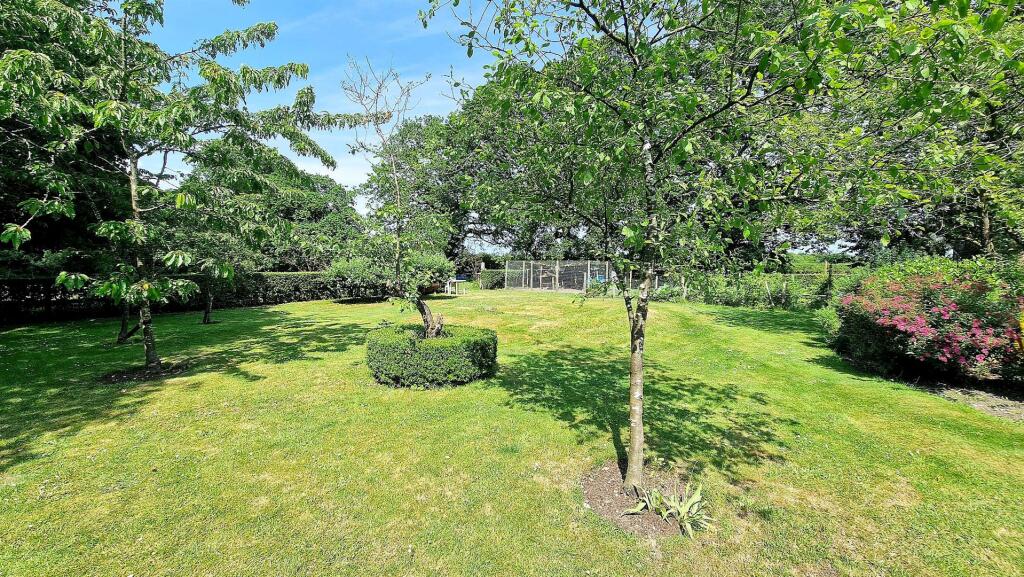 IMMEDIATE GARDENS 3.jpg
