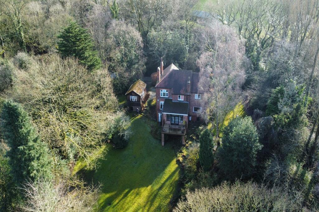 Drone View
