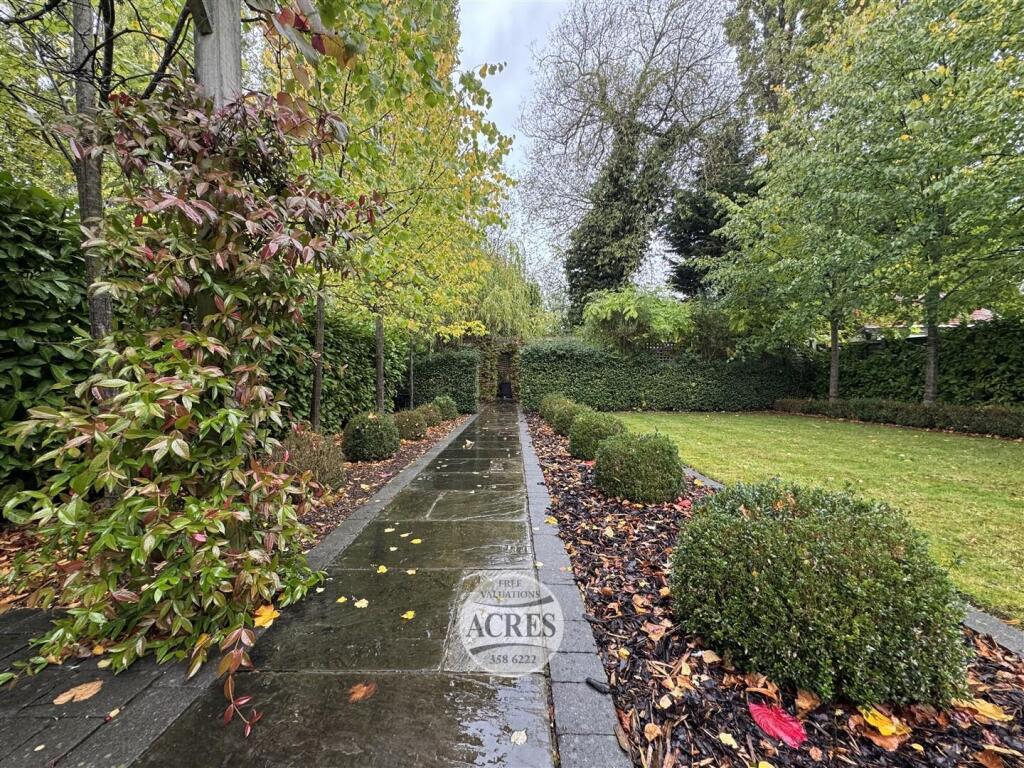 IMG_8369 (Large).jpg