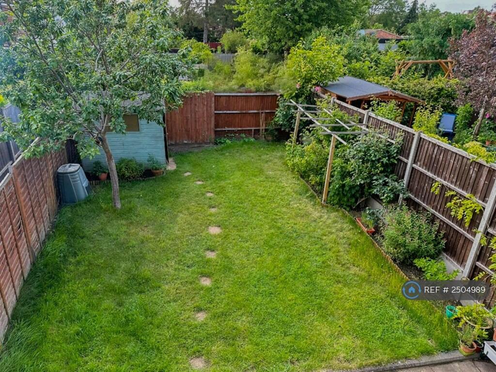 Back Garden