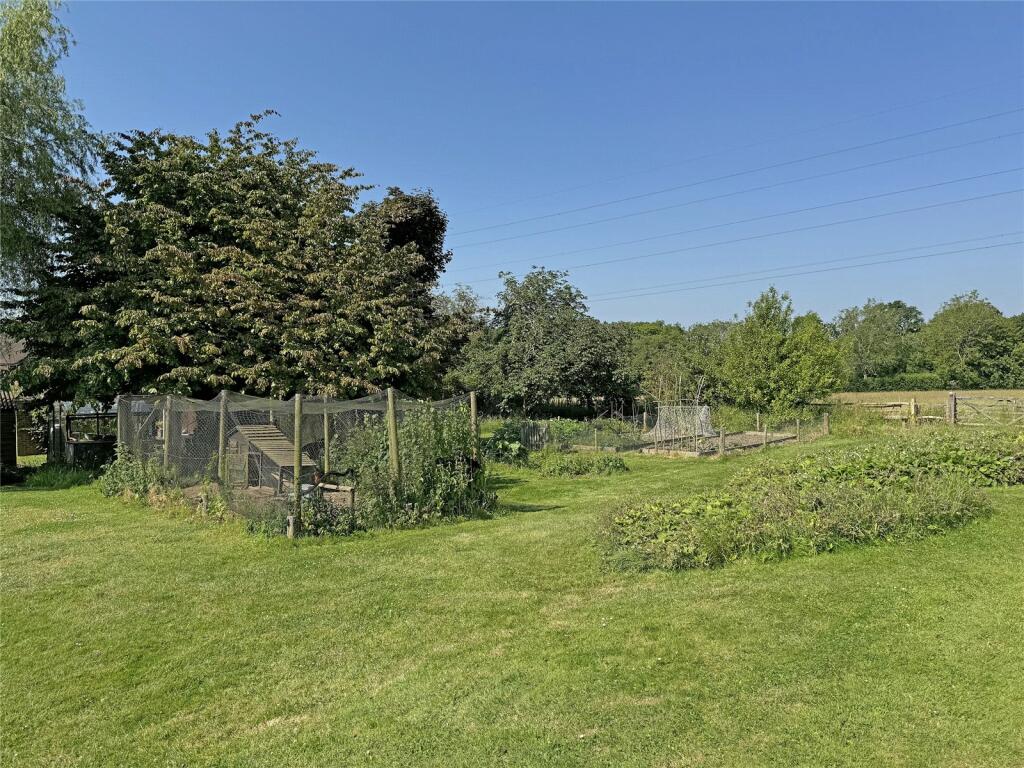 Kitchen Garden