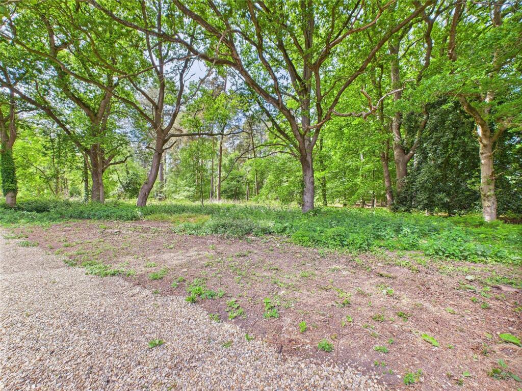 Woodland