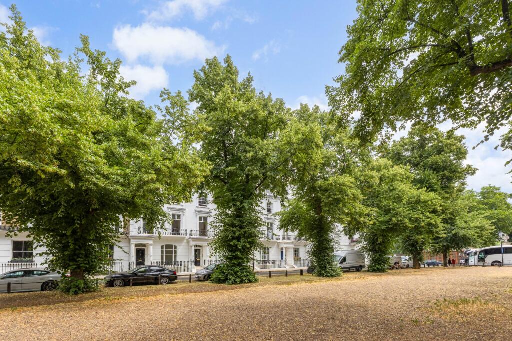 Tree Lined Street