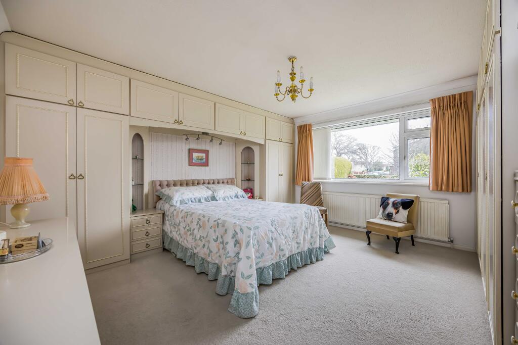 20250117135009706_original [17193190].jpg