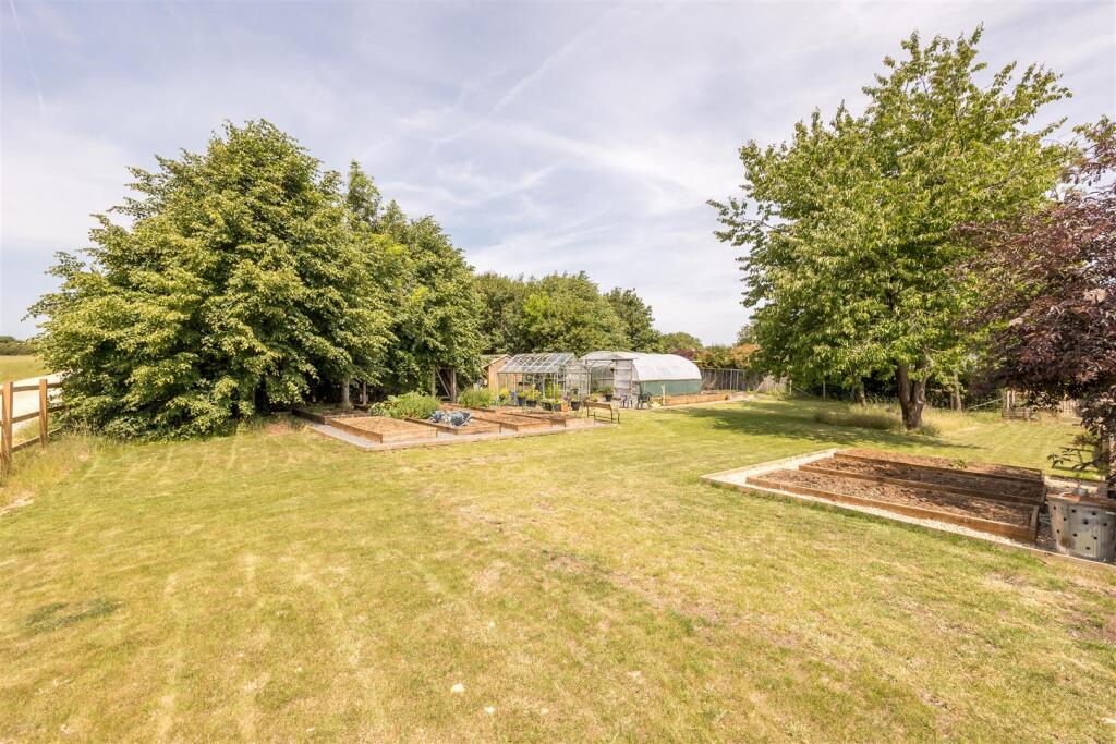 A serious kitchen garden