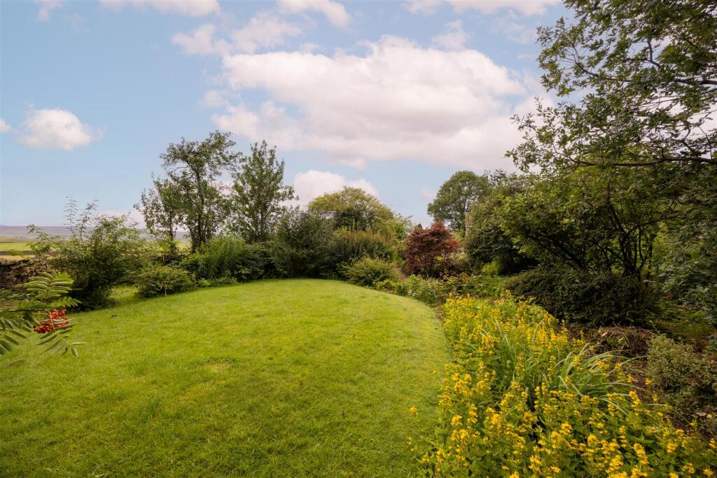 Lawn