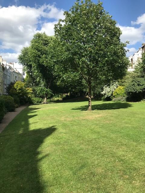 Communal Garden 