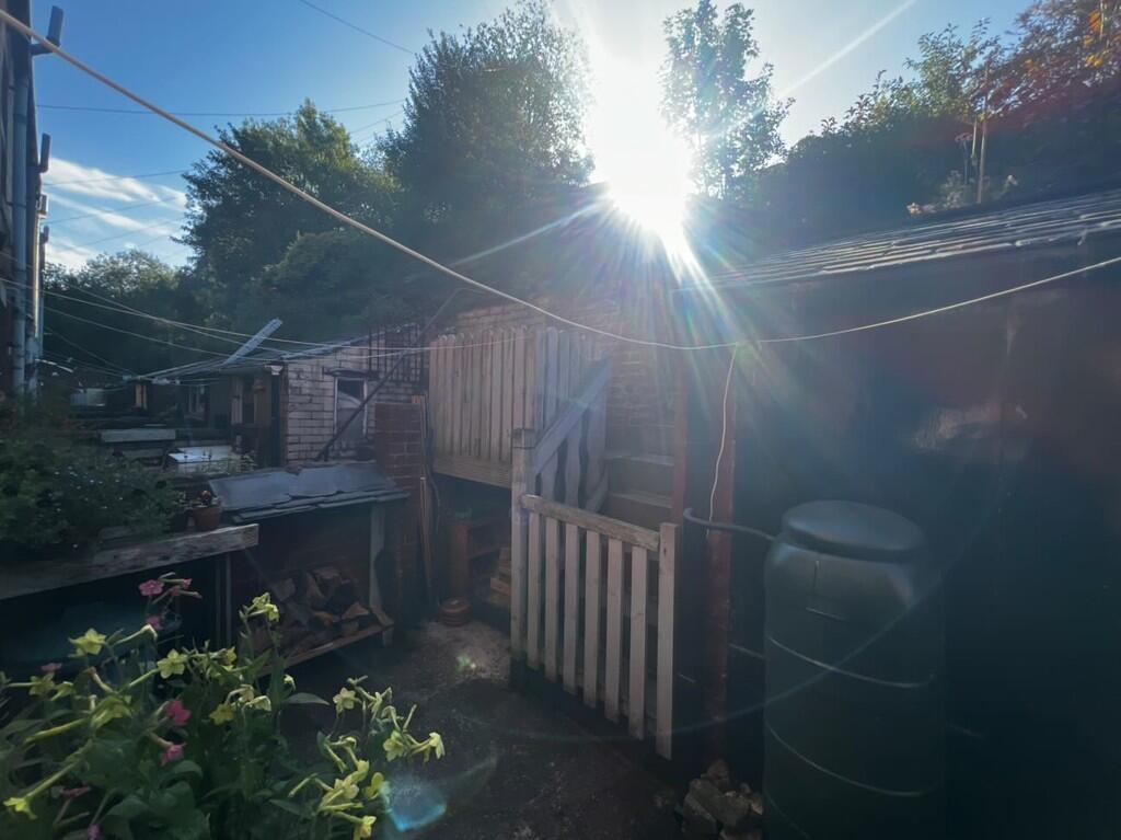 Rear Yard
