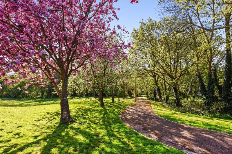 View From Front of House 