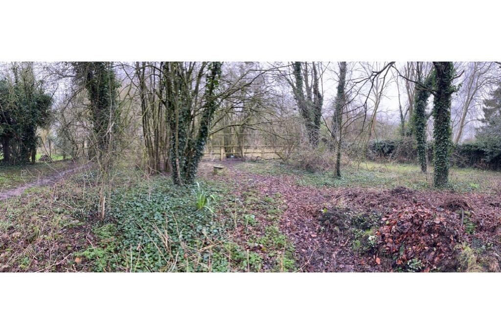 Woodland