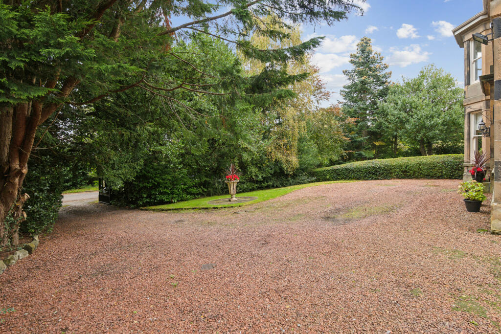 P2167961