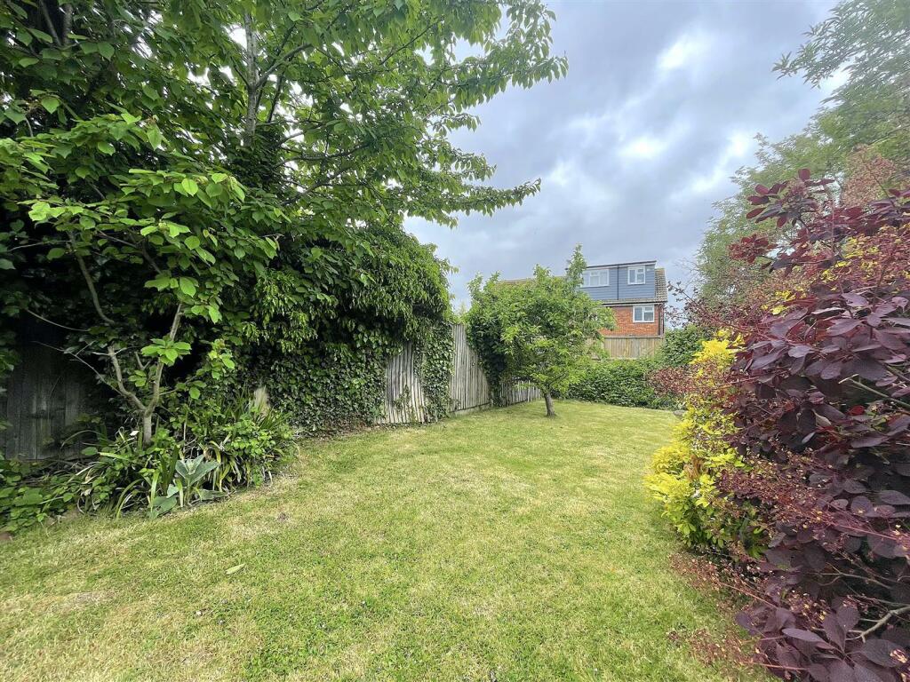 Garden (5).jpeg