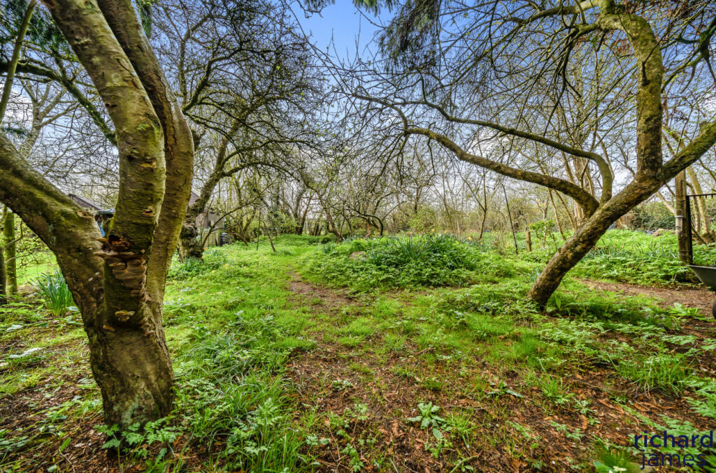 27d1c1b4-d034-4b4...