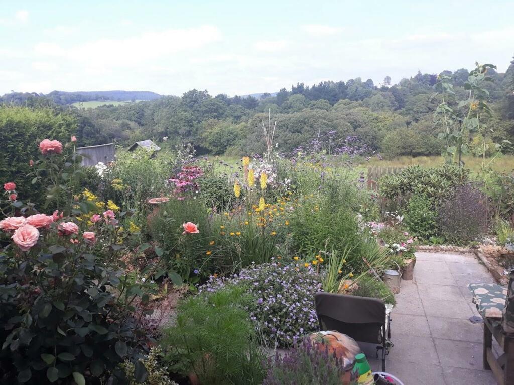 Garden 2.jpg