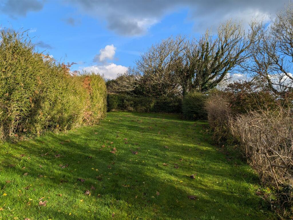 Clear ground before woods