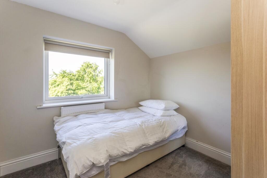 2 Star Green Cott...