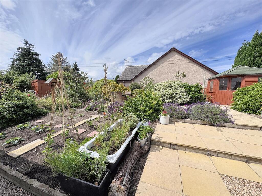 rear garden.jpg