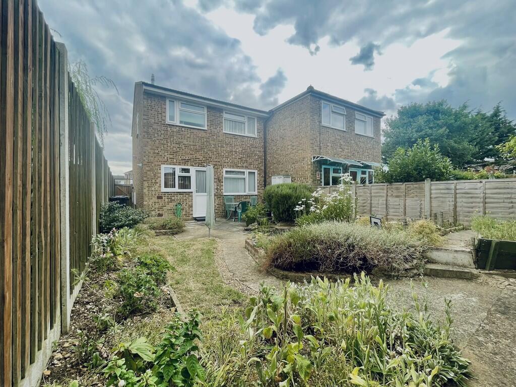 IMG_3893 - Copy (...