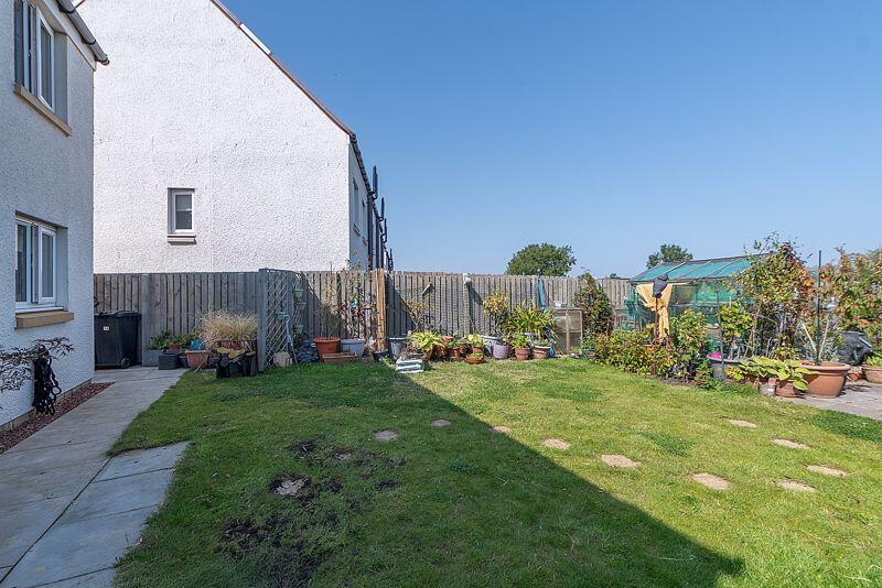 Back Garden
