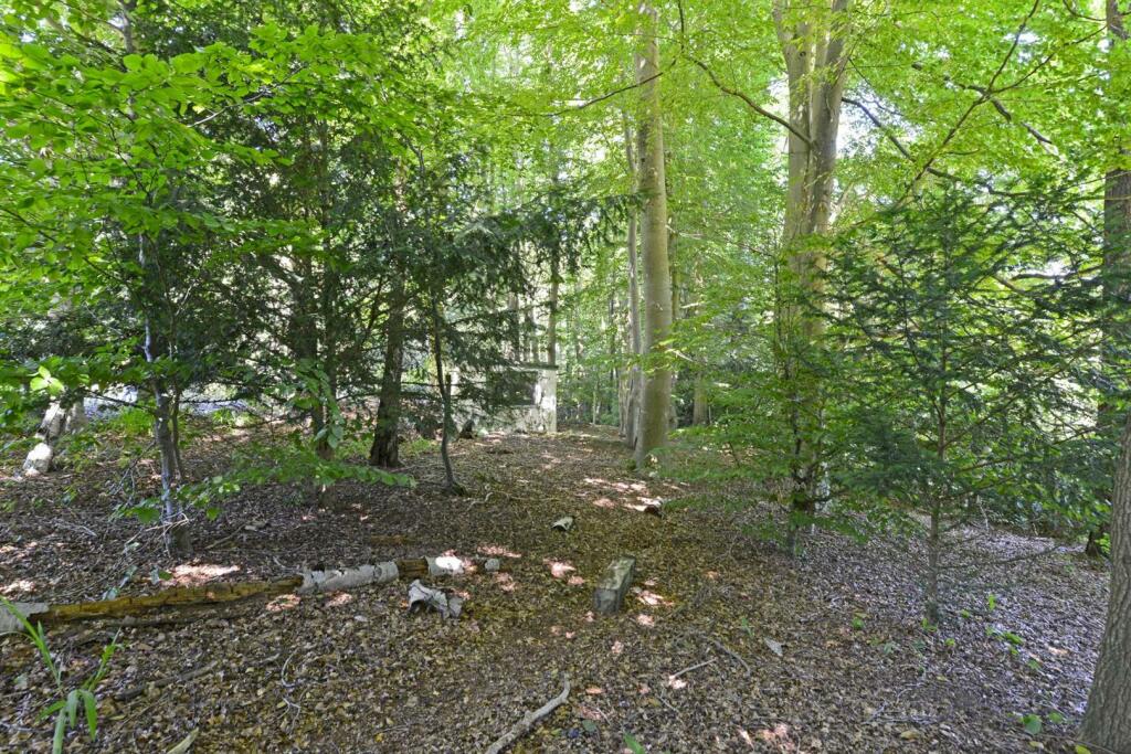 Little Poynets, Blackheath (6)-1920 - Copy.jpg