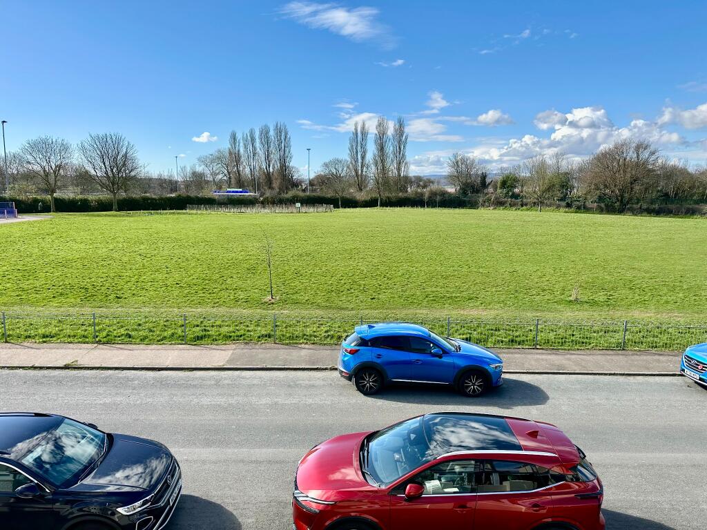 View over Carter Park
