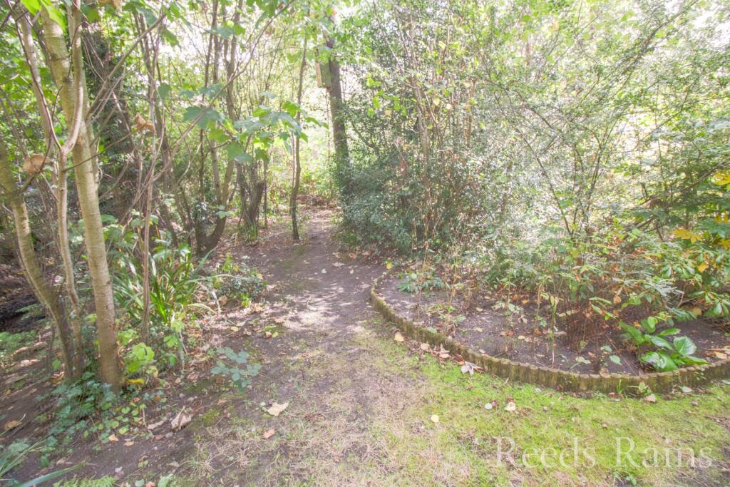 Woodland