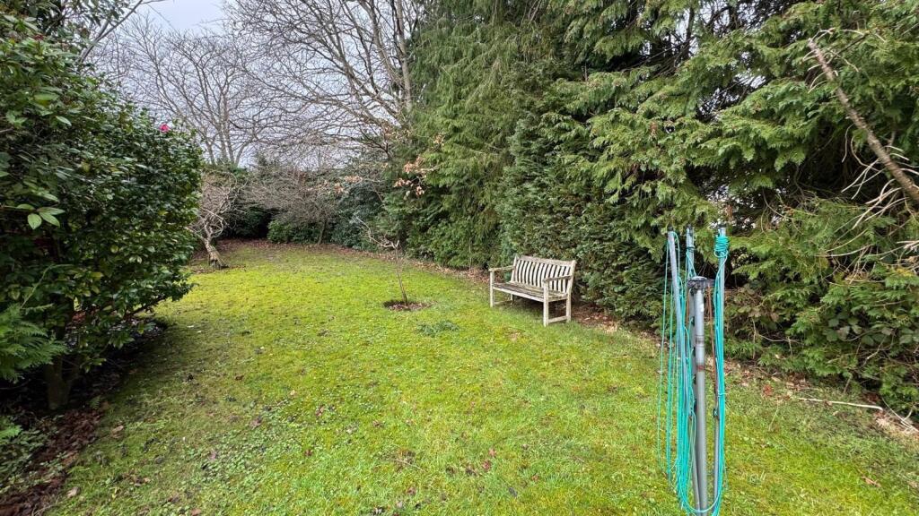 2. side garden2.jpg