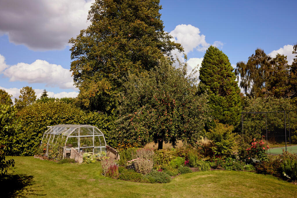 311290 - a0OP60000062S81MAE_N97.jpg