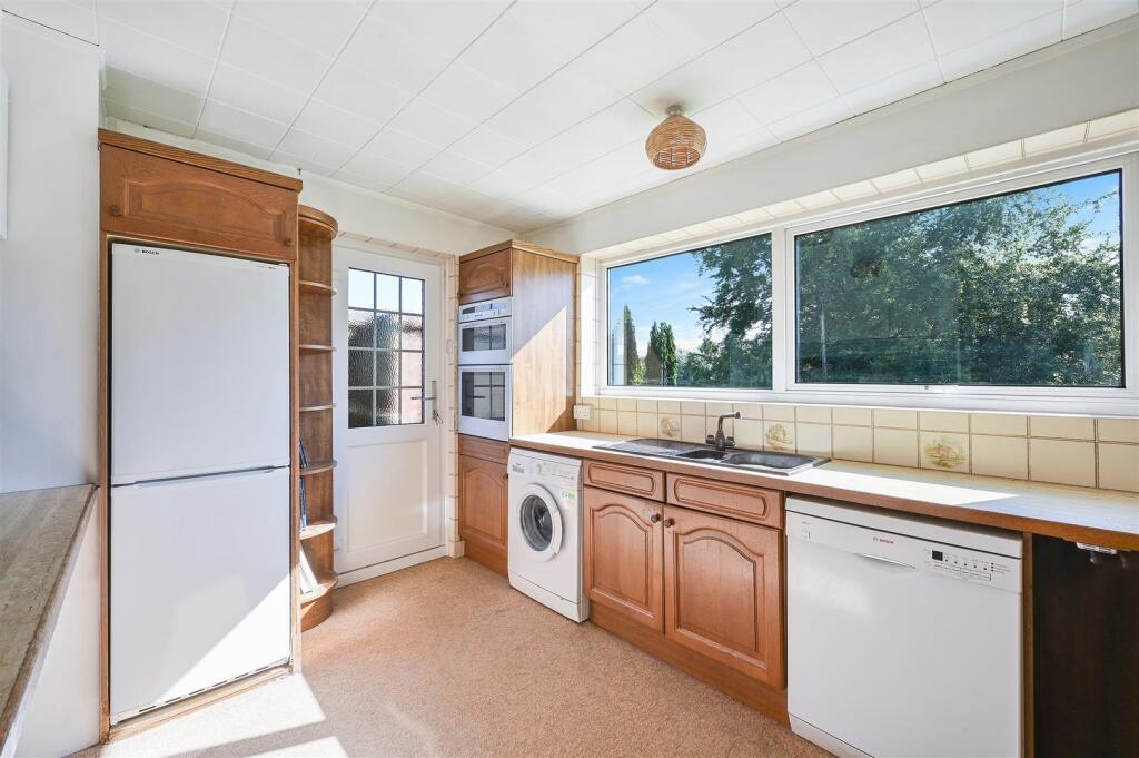 ROSE BUSHES, 15- (6).jpg