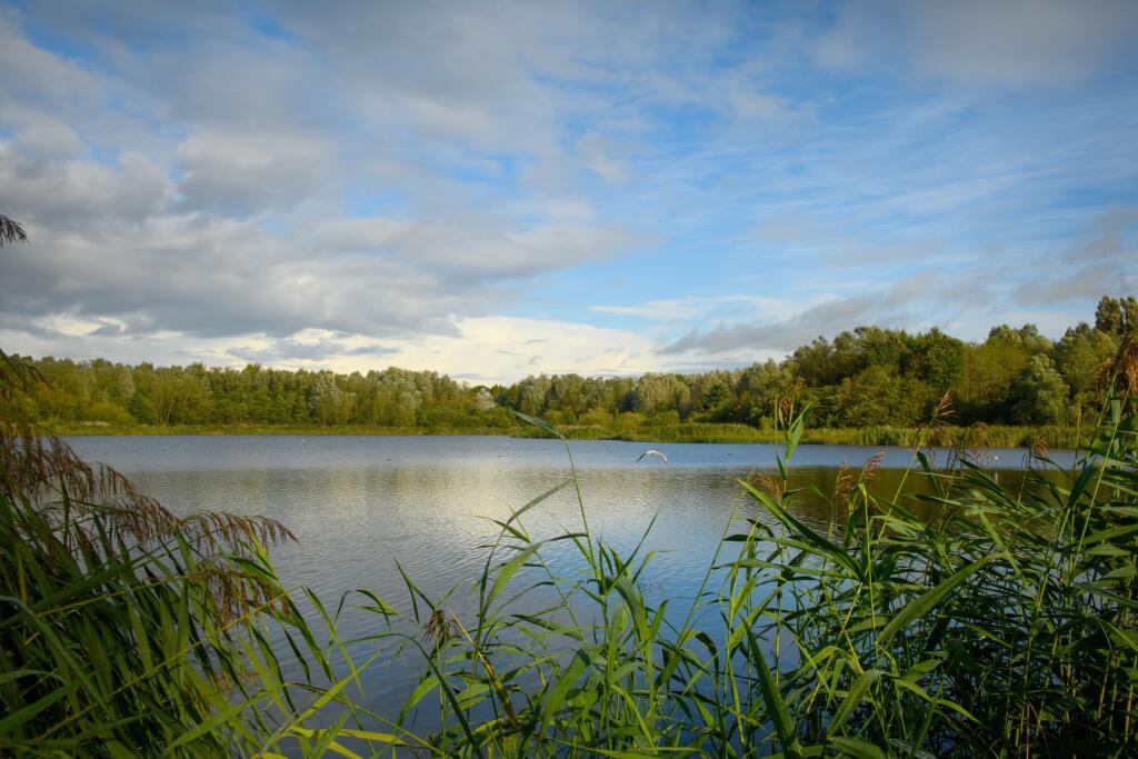 Local area image of Walmsley Park