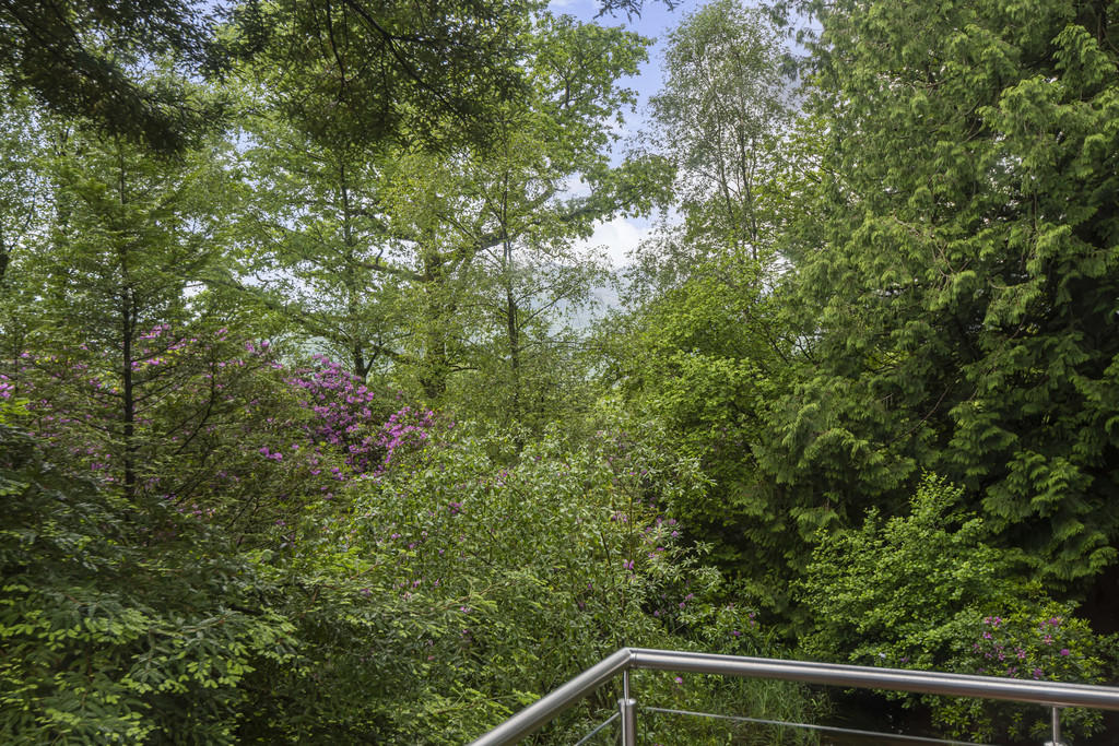 View from Balcony