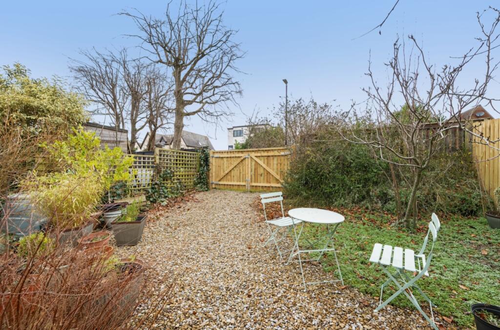 Back garden