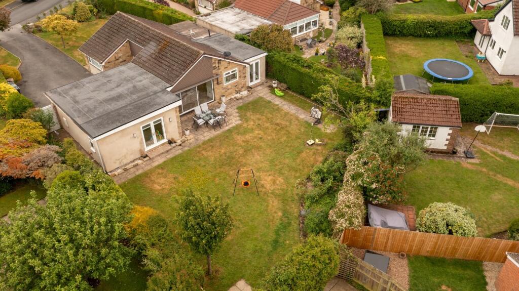 DJI_0342.jpg