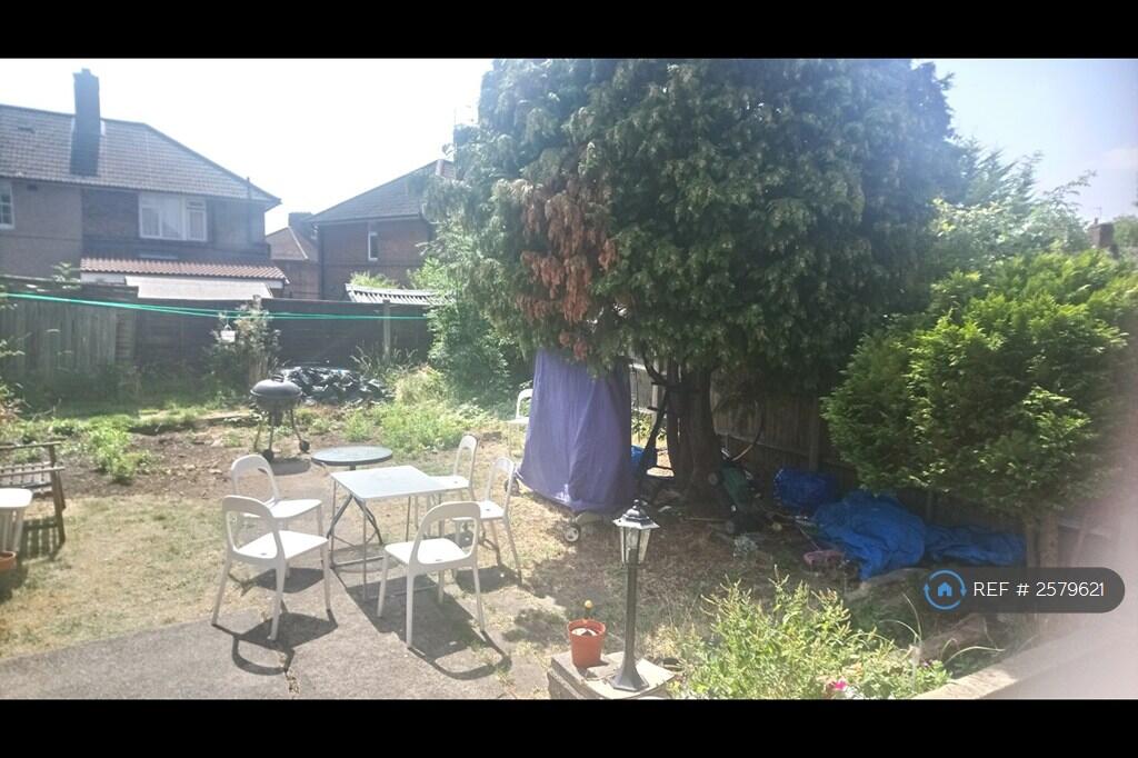 Huge Back Garden 2
