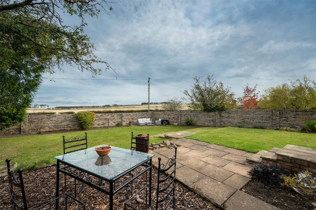Patio Area