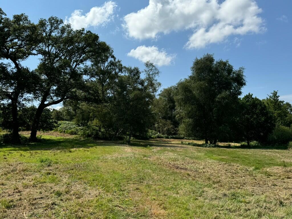 Riverside Meadow