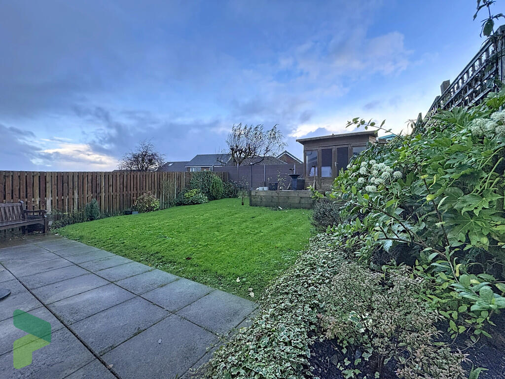 Back garden