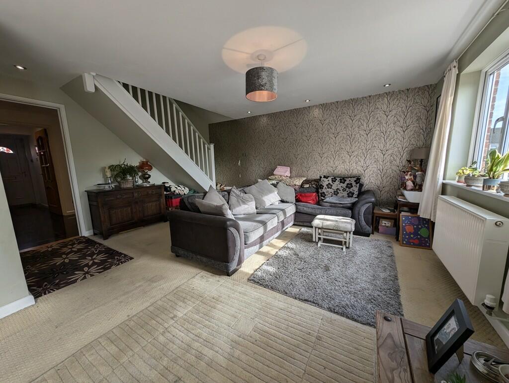 PXL_20241014_1112...