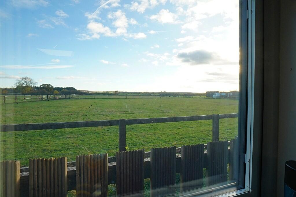 Studio view