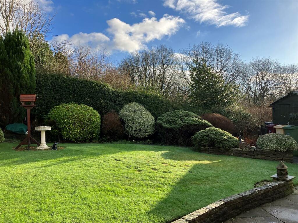 new garden 1.jpg