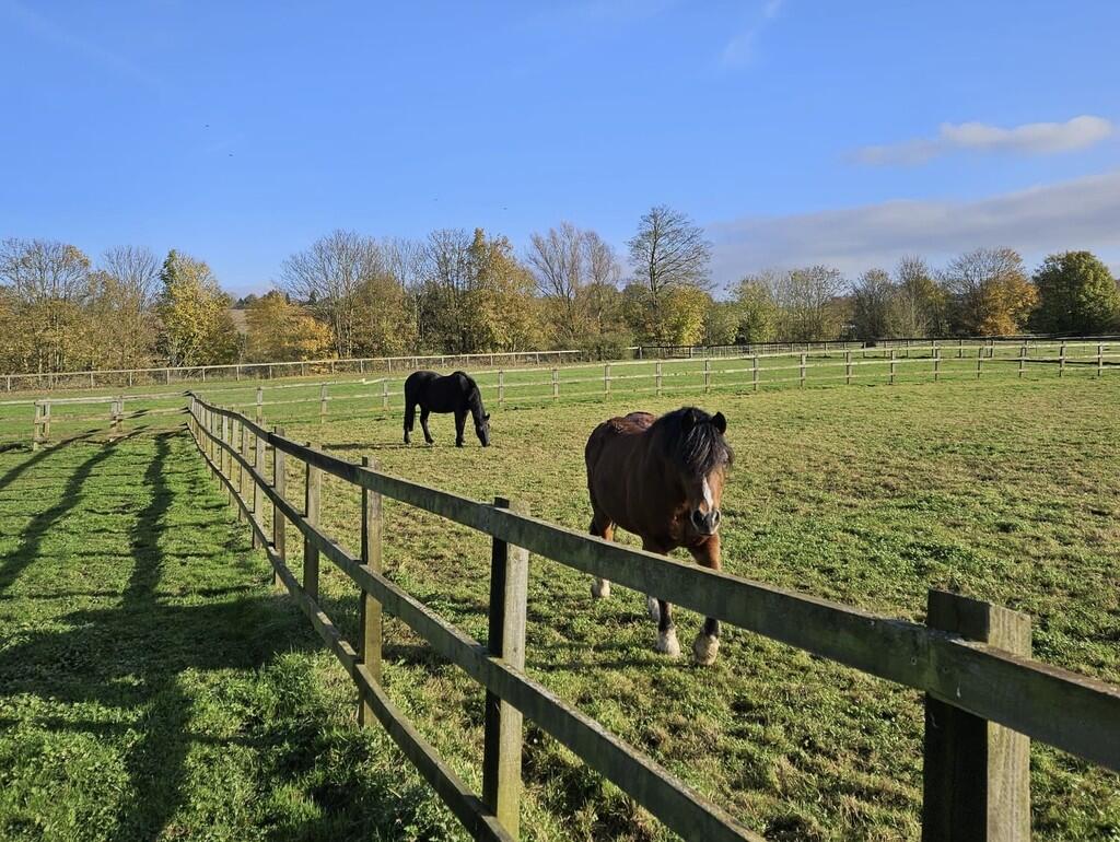 795bfb25-e9a4-4b5...