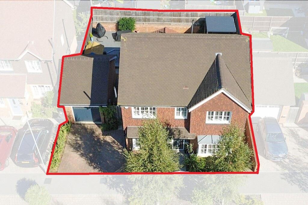 DJI_0255 cropped outline.jpg