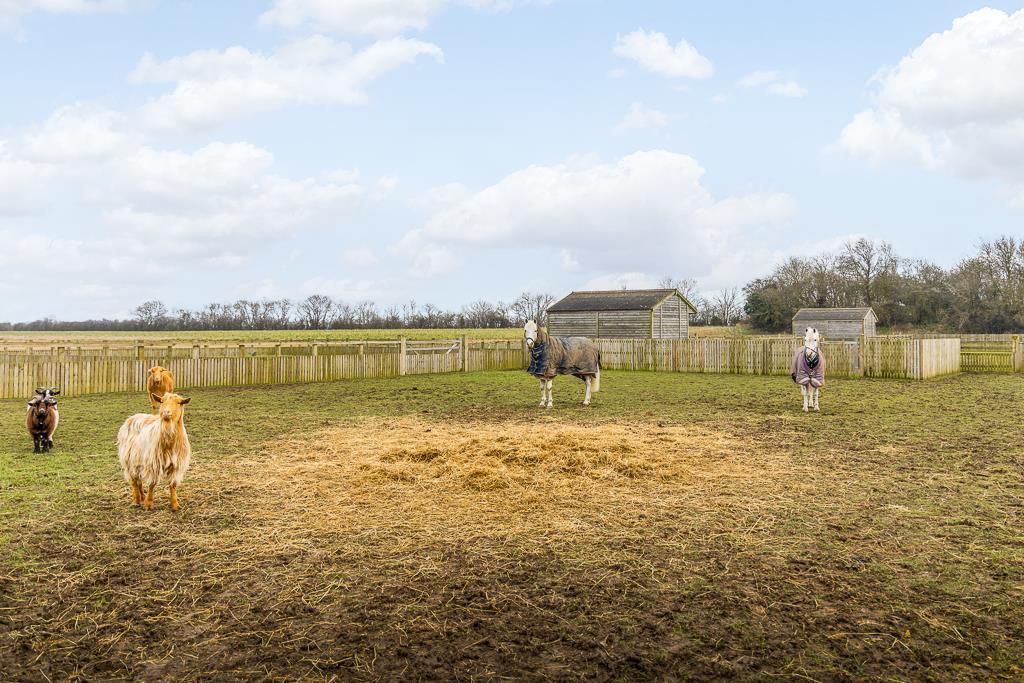 Field View Stables (Fishtoft)-17.jpg