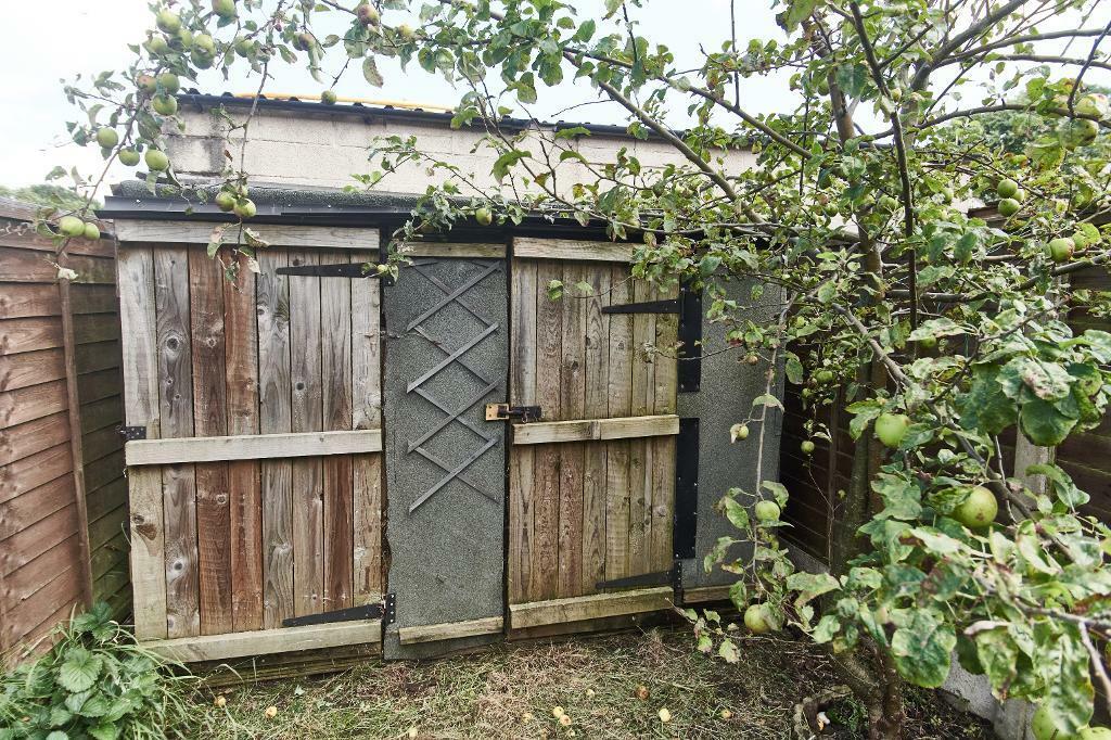 Garden Shed