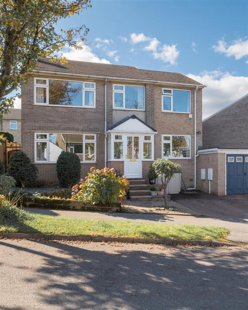 untitled (1 of 21).jpg