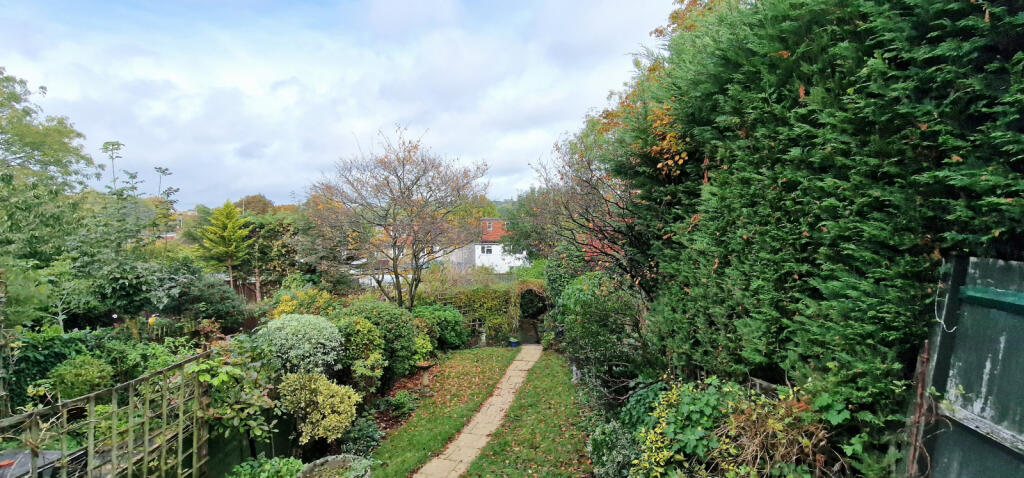 LAWN AREA