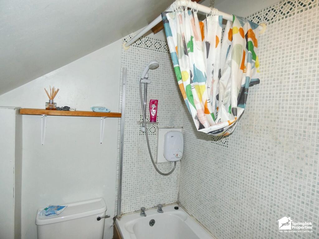 IMAGE 11