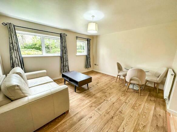 Dining / Living Area