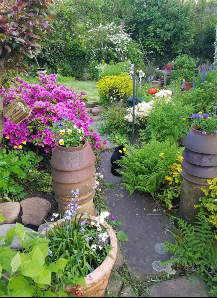 CURRENT OWNERS PHOTOS