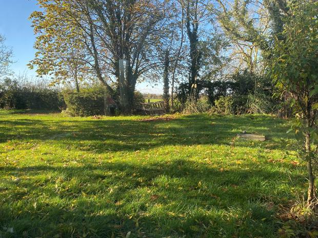 briggs  Lodge garden
